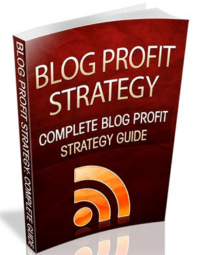 Blog Profit Strategy